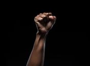 Nos dias que antecedem o Dia da Consciência Negra o acesso ao Quilombo dos Palmares fica proibido- denunciam quilombolas