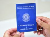 Em Alagoas, comércio e serviços criam 74% do total de empregos com carteira assinada
