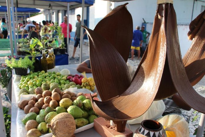 Prefeitura de Delmiro Gouveia realiza 1ª Feira da Agricultura Familiar