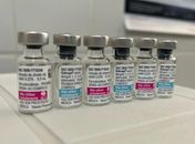 Fabricante dará prioridade da vacina contra dengue ao SUS