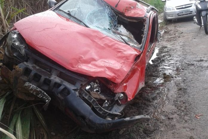 Carro de passeio colide com animal na pista na AL-420
