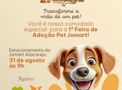 Feira de adoção promete transformar a vida de cães em Arapiraca
