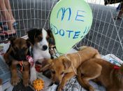 Dia do Amigo PET acontece no próximo sábado em Arapiraca