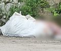 Corpo de mulher é encontrado esquartejado no Jacintinho; polícia investiga abandono em carrinho de mão