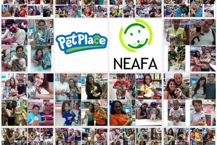 Parceria entre Neafa e Pet Place gera mais de 150 adoções