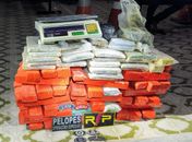 Após denúncia, policiais fazem maior apreensão de drogas em Arapiraca e encontram 62kg de maconha em residência   