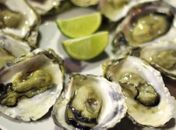 Coruripe leva ostras depuradas, gastronomia e artesanato à Feira dos Municípios Alagoanos 2026