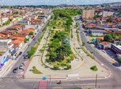 Arapiraca uma cidade nascida à sombra de muitas árvores  