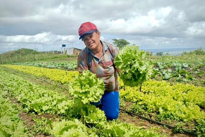 Projeto “Semeando o Futuro” distribui mudas e sementes de hortaliças para fomentar emprego e renda em São Miguel dos Campos