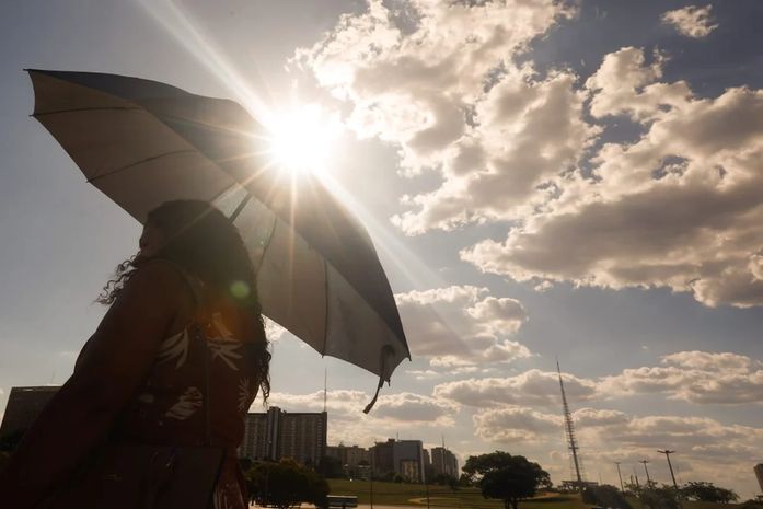 Sertão de Alagoas entra em alerta para baixa umidade em 22 municípios; veja lista