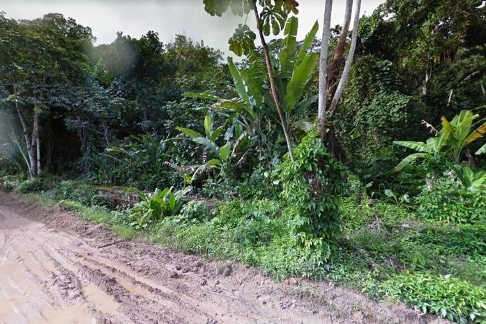 Estrada da Goiabeira