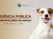 Anac realizará consulta e audiência públicas sobre transporte aéreo de animais