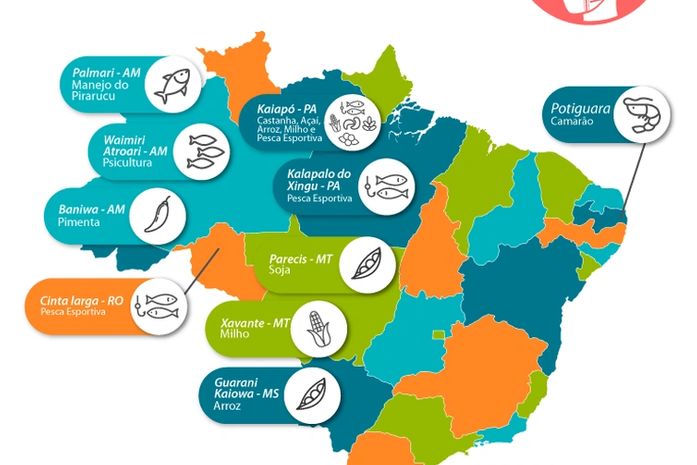 Um milhão de indígenas brasileiros buscam alternativas para sobreviver