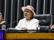 Tereza Nelma destaca importância de nova lei que destina 5% de fundo de segurança pública ao enfrentamento da violência contra mulheres