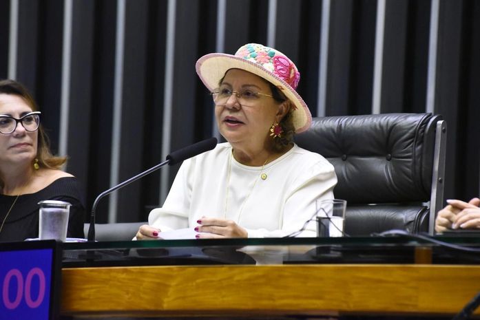 Tereza Nelma destaca importância de nova lei que destina 5% de fundo de segurança pública ao enfrentamento da violência contra mulheres