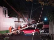 Trânsito no Eixo Quartel é bloqueado após veículo derrubar poste na madrugada 