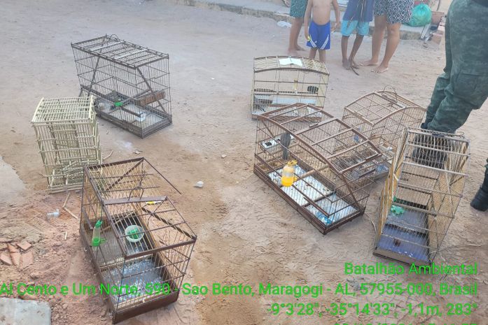 PM apreende armas de fogo, drogas e animais silvestres no interior de Alagoas