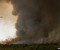 Fogo avança e queima 700 hectares do Parque Nacional de Brasília