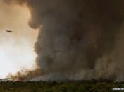 Fogo avança e queima 700 hectares do Parque Nacional de Brasília
