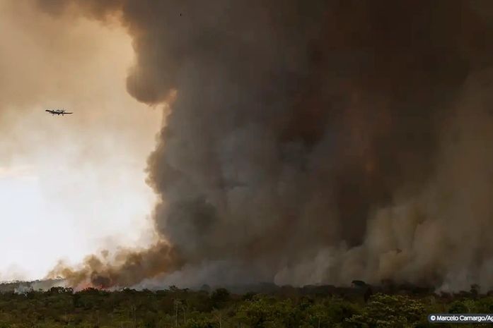 Fogo avança e queima 700 hectares do Parque Nacional de Brasília