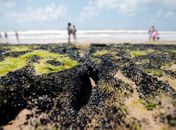 Governo libera R$ 130 milhões para seguro-defeso a pescadores do NE