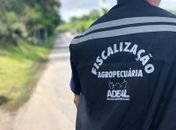 Fiscalização da Adeal