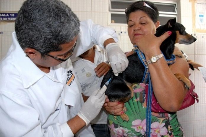 Campanha de vacinação antirrábica