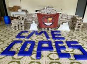 Mais de 665 kg de drogas e 38 armas de fogo foram apreendidos na última semana em Alagoas