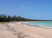 IMA amplia monitoramento e passa a avaliar qualidade da água na Praia de Lages, em Porto de Pedras