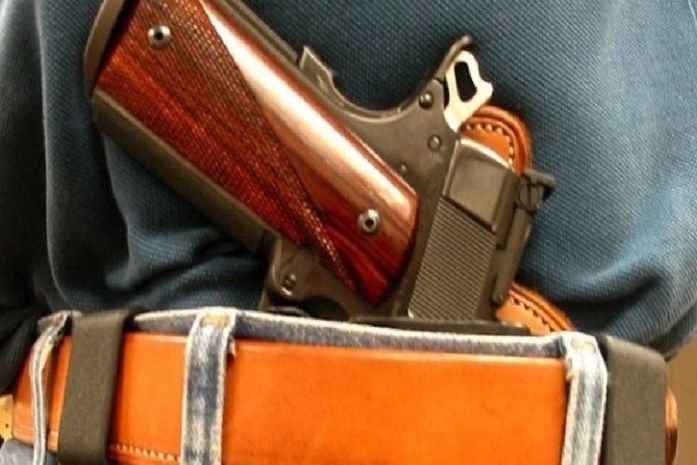 Senado aprova autorização de posse de arma a moradores da zona rural
