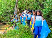Estudantes da rede municipal aprendem sobre preservação em ação no manguezal