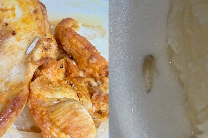 Paciente relata presença de larvas em refeição servida na UPA do Benedito Bentes, em Maceió