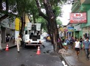 Árvore que tombou sobre loja será retirada nos próximos dias