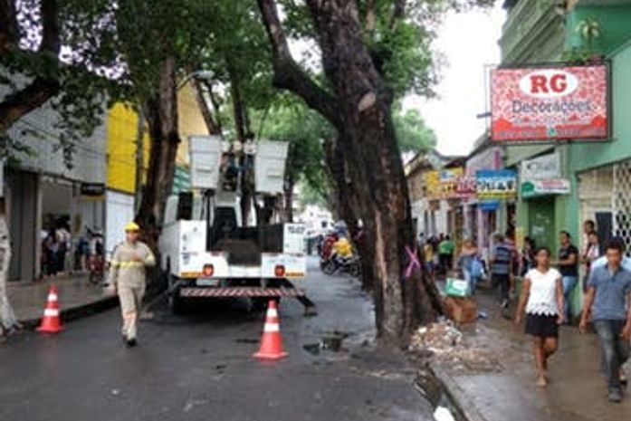 Árvore que tombou sobre loja será retirada nos próximos dias