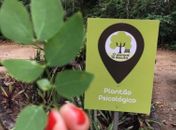 Edição de julho do plantão psicológico ocorre de forma online neste sábado (24)