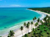 Praia do Patacho conquista Selo Bandeira Azul pela 5ª vez e lidera o turismo sustentável em AL 