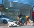 Deputado Delegado Leonam resgata cavalo vítima de maus-tratos após denúncia em Maceió