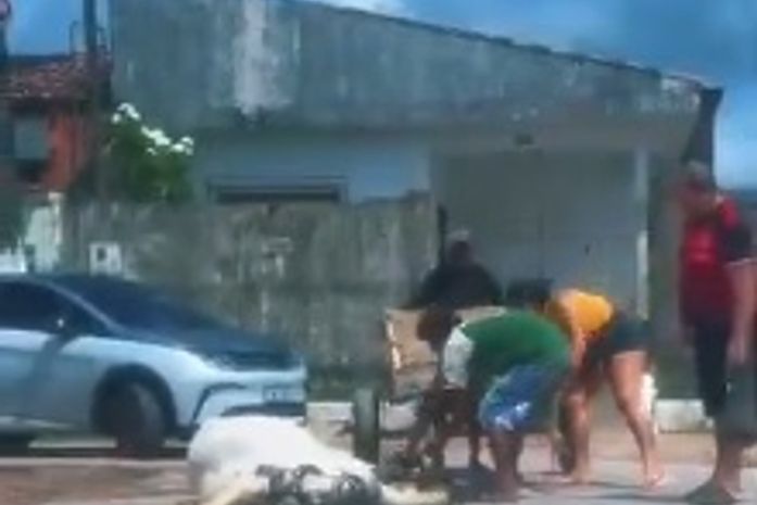 Deputado Delegado Leonam resgata cavalo vítima de maus-tratos após denúncia em Maceió