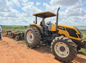 Programa amplia ações com apoio técnico a 200 produtores de abacaxi em Arapiraca