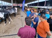 Sucesso da fertilização in vitro eleva em 63% adesão de produtores familiares em Porto Real do Colégio 