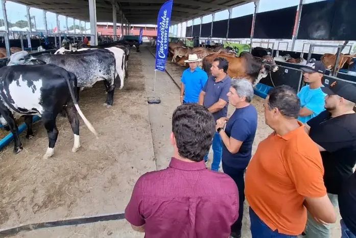 Sucesso da fertilização in vitro eleva em 63% adesão de produtores familiares em Porto Real do Colégio