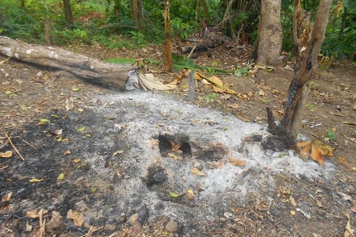 IMA monitora focos de queimada em Murici e Pratagy