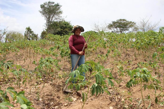 Agricultura anuncia prorrogação de pagamento de boletos do Garantia-Safra 23/24