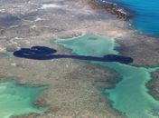 Óleo no litoral nordestino