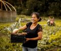 Agroecologia