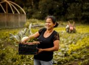 Agroecologia