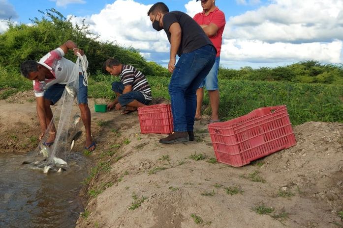 Pequenos piscicultores recebem apoio técnico para acompanhamento da criação de Tilápias em Delmiro Gouveia 