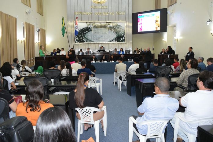 Sessão especial discute Defesa da Primeira Infância com representantes do UNICEF, Executivo e Judiciário