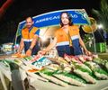 Alimentos arrecadados no São João serão destinados ao Mesa Brasil