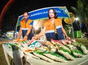 Alimentos arrecadados no São João serão destinados ao Mesa Brasil